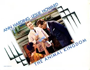 Cheers Prints: THE ANIMAL KINGDOM, lobbycard, from left: Myrna Loy, William Gargan, Leslie Howard, 1932