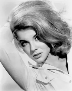Sexy Prints: Ann-Margret, ca. mid-1960s