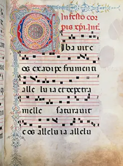 Anonymous Sienese painter, Gradual from Palm Sunday to the XXIV Sunday after Pentecost, 15th Century, illuminated manuscript, Italy, Tuscany, Siena, Osservanza Basilica