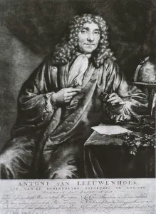 1600s Prints: Anthony van Leeuwenhoek (1623-1723)