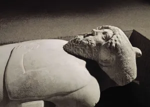 4th C Prints: Anthropoid Sarcophagus. 4th c. BC