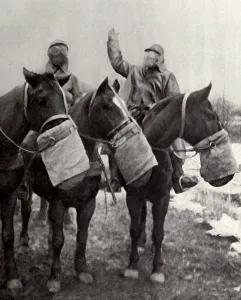Gas Masks Prints: Anti-gas nose bag for French army horses in WW1