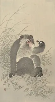 Woodcut Prints: Ape with Insect, by Ohara Koson and Matsuki Heikichi