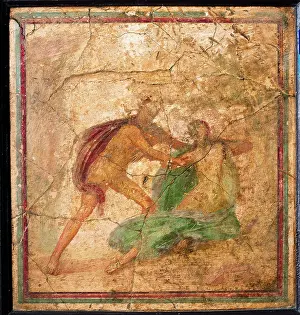 Cloak Prints: Apollo and Daphne, by unknown artist
