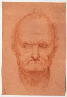 Image Not Found Prints: perhaps by apprentice Leonardo da Vinci