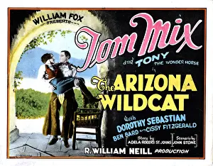 Sebastian Prints: THE ARIZONA WILDCAT, from left