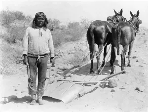December Prints: Arizona's Salt River Project involved the construction of a system of canals to deliver water throughout the river