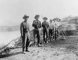 December Prints: Arizona's Salt River Project involved the construction of a system of canals to deliver water throughout the river