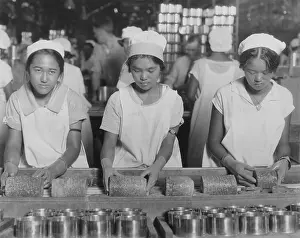 Asian American Prints: Asian American young women working in a pineapple cannery in Hawaii in 1928
