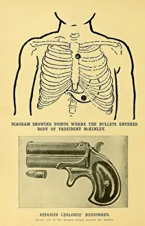 Assassination Prints: Assassination of President William McKinley at Pan-American Exposition
