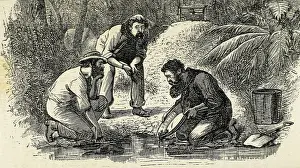 Colony Prints: Australia (1880). The life of the gold diggers in Botany-Bay (founded in 1788)