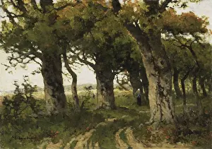 Shepherd Prints: Avenue of Oaks in Late Summer, by Maria Bilders-van Bosse