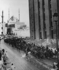 Axis Prints: Axis prisoners captured in Libya nearing the Citadel of Cairo