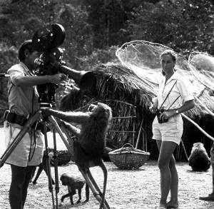 2000 Prints: THE BABOONS OF GOMBE, Jane Goodall