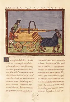 Carts Prints: Ballista quadrirotis. Carroballista