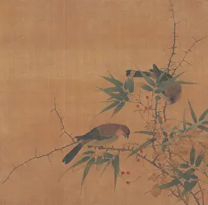 Fruit Prints: BAMBOO BRANCH WITH BERRIES AND BIRDS