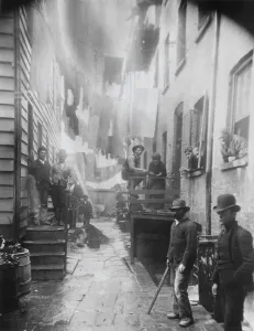 Dwellings Prints: BANDITS ROOSE, was photographed in an alley at 59 1/2 Mulberry Street