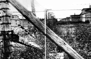 Barbed Wire Prints: Barbed wire surrounding the barracks at a concentration camp in Lublin