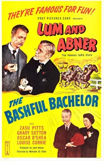 Pitts Prints: THE BASHFUL BACHELOR, US poster