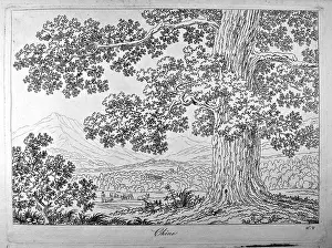 Teacher Prints: Basis for learning how to draw the natural landscape (Principes pour apprendre dessiner le paysage aprs nature)
