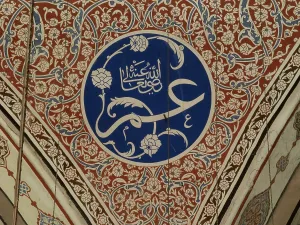 Rose Prints: Bayezid II Mosque (Beyazit Camii)