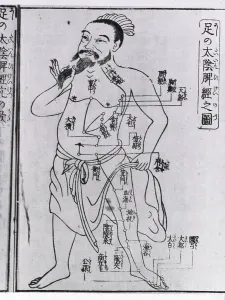 Traditional Prints: Bearded figure with acupuncture points and meridians labeled with Japanese characters