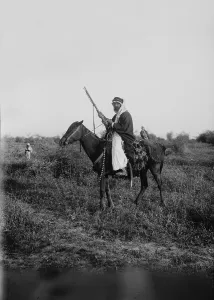 Falcon Prints: Bedouin hunter with his falcon