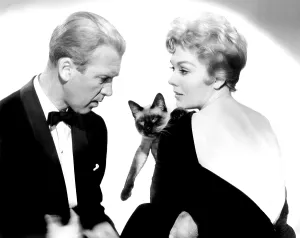 Novak Prints: BELL, BOOK AND CANDLE, James Stewart, Kim Novak, 1958