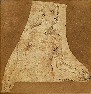 Young Men Prints: Benci Antonio known as il Pollaiolo