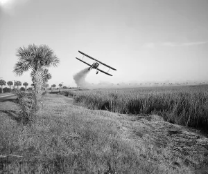 Environment Prints: A bi-plane is spraying DDT insecticide during malaria control operations in Savannah