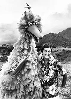 Mcgrath Prints: Big Bird (Carroll Spinney) and Bob McGrath of SESAME STREET on the Hawaiian Island of Kauai