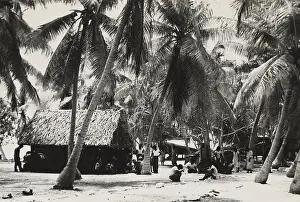 Lcgr1507 Prints: Bikini Islanders near thatched roof building shaded by palm trees