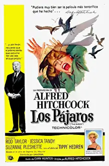 Scared Prints: THE BIRDS, (aka LOS PAJAROS), Alfred Hitchcock, Tippi Hedren, 1963