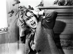 Afraid Prints: THE BIRDS, Jessica Tandy, 1963