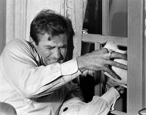 Seagull Prints: THE BIRDS, Rod Taylor, 1963