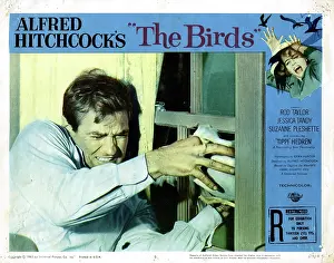1963 Movies Prints: THE BIRDS, Rod Taylor, 1963
