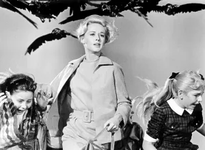 THE BIRDS, Tippi Hedren, 1963