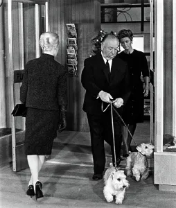 Cameo Prints: THE BIRDS, Tippi Hedren, Alfred Hitchcock, 1963