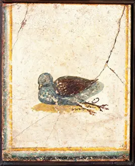 Loneliness Prints: Birds, by unknown artist, 10-45