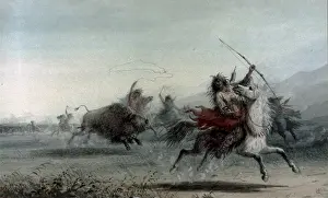 Arrow Prints: Bison Hunt, by Alfred Jacob Miller