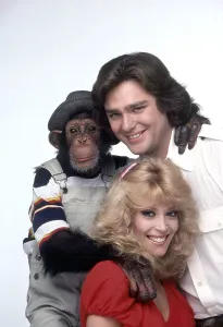 Greg Prints: B.J. & THE BEAR, clockwise: Sam the Chimp, Greg Evigan, Judy Landers, (1981), 1978-1981