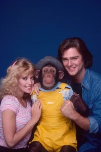Greg Prints: B.J. & THE BEAR, Judy Landers, Sam the Chimp, Greg Evigan, 1978-1981