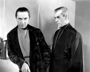 Dressing Gown Prints: THE BLACK CAT, Bela Lugosi, Boris Karloff, 1934