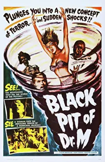 Spiral Prints: THE BLACK PIT OF DR