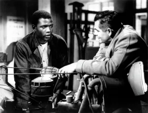 Images Dated 28th October 2005: THE BLACKBOARD JUNGLE, Sidney Poitier, Glenn Ford, 1955
