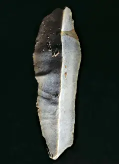 Prehistoric Prints: Blade. Upper Paleolithic. Magdalenian. AISA/Everett Collection**US SALES ONLY**