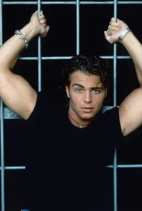 Joey Prints: BLOSSOM, Joey Lawrence, 1990-1995