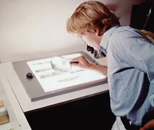 1966 Movies Prints: BLOWUP, David Hemmings, 1966 blowup1966-fsct30(blowup1966-fsct30)