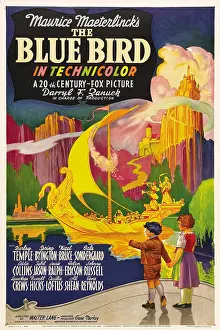 Images Dated 3rd September 2009: THE BLUE BIRD, poster art, 1940
