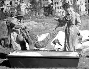 Grave Prints: The bodies of murdered political prisoners buried around Gestapo headquarters being disinterred for examination